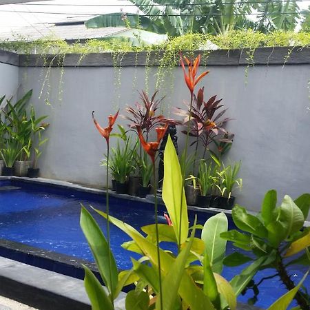 Star Bali Guest House Canggu Exteriér fotografie